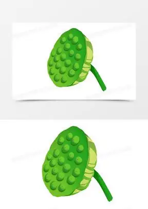 手绘卡通风格立夏莲蓬莲子元素设计