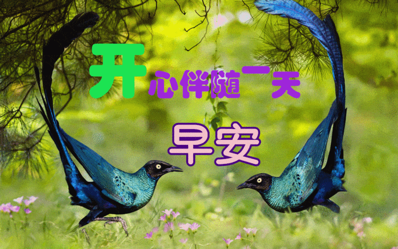 2021早上好动态表情图片大全早上好问候语句子