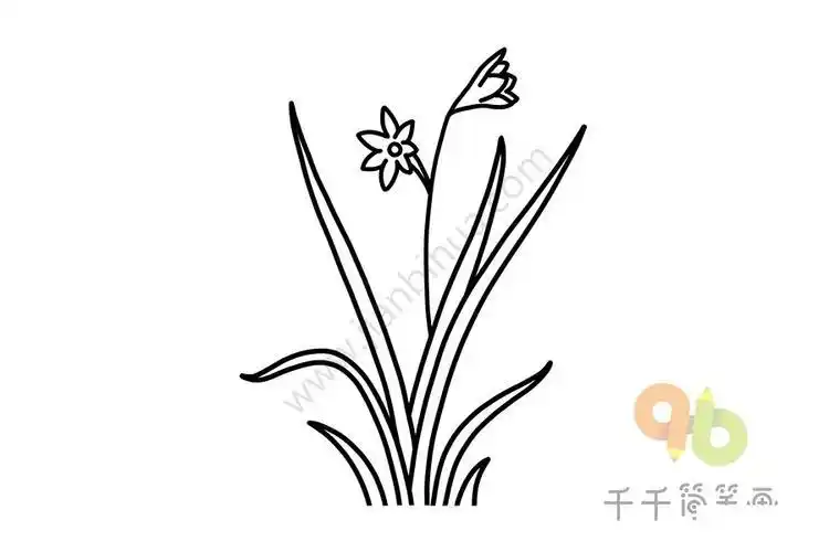 花朵简笔画 简单的兰花简笔画兰花简笔画兰花是中国十大名花之一它