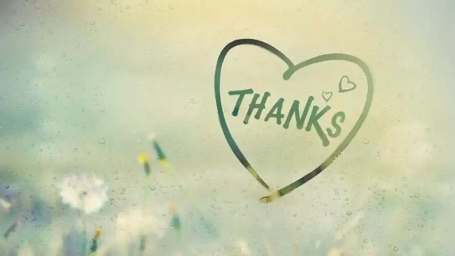 谢谢你对我的爱壁纸