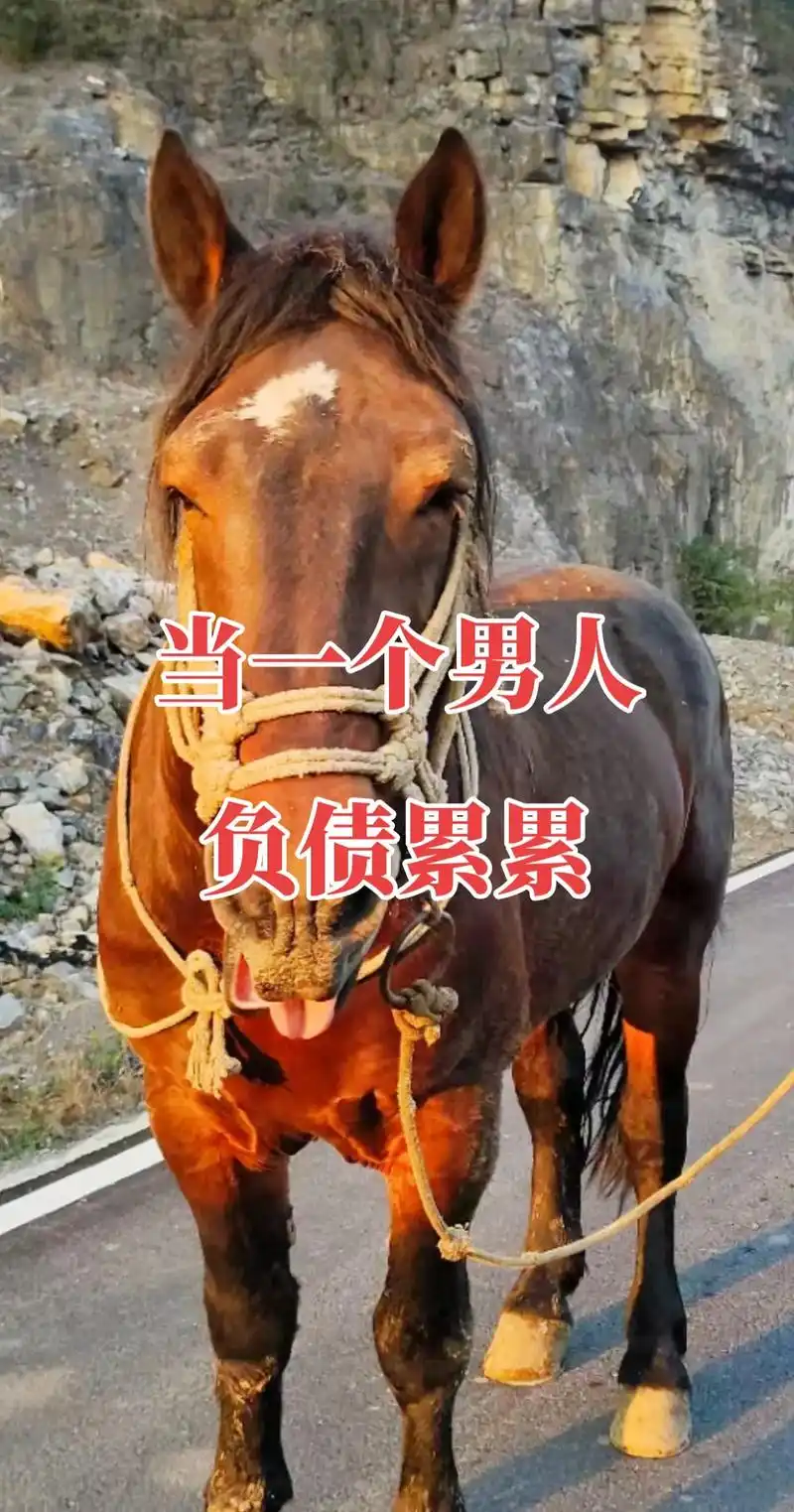 抖音图文.当一个男人负债累累,穷困落魄的时候,哪怕你的人品再 - 抖音