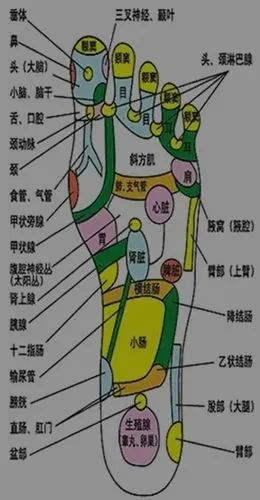 人体足部穴位高清图及按摩方法