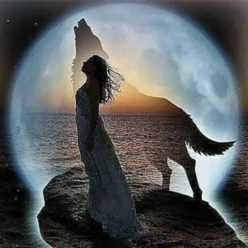 速卖通亚马逊 外贸款钻石画5d满钻 狼 狼人女孩 新款一件