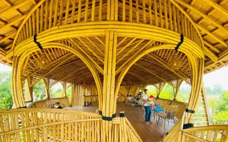 全竹结构建筑之生态竹建筑 竹屋 竹房子案例鉴赏