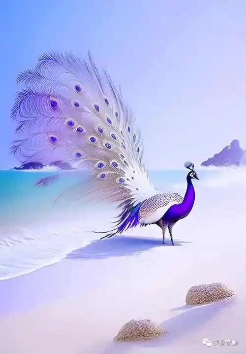 美丽吉祥的孔雀鸟,真不愧是鸟中皇后,太漂亮了!