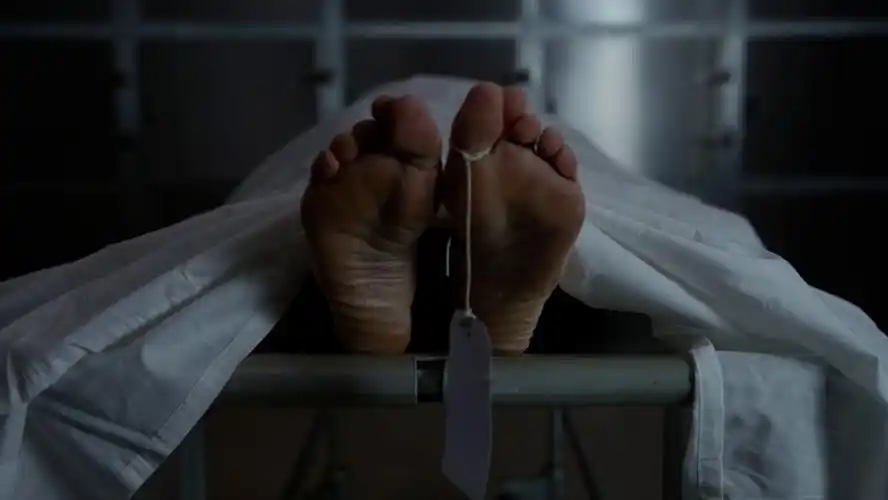 虽然用尸体作测试对象看起来很毛骨悚然,但这些死人却救了不少活人的