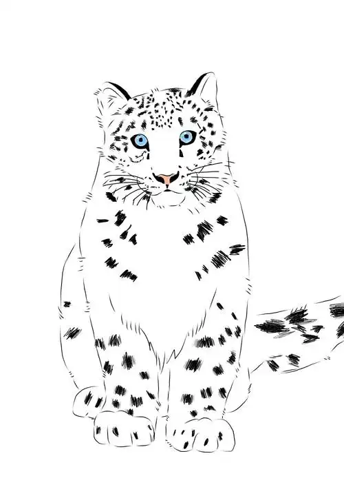 day21  蹲蹲豹21天技能挑战绘画雪豹豹豹热度(9)评论(1)推荐打开新页