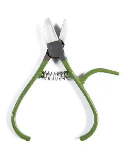 柑橘类采摘剪刀