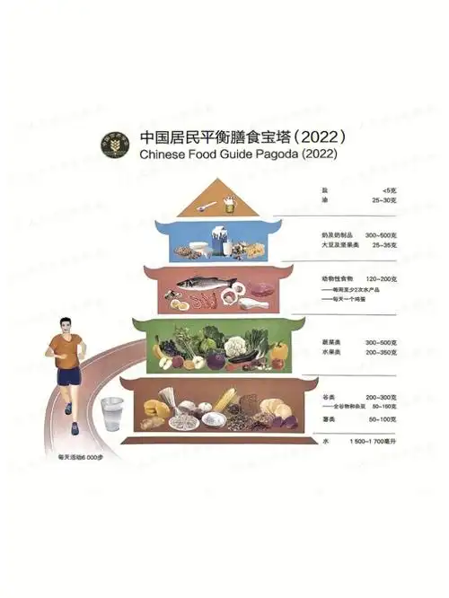 一图读懂中国居民膳食指南2022