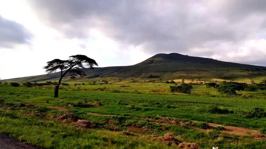 肯尼亚东非大草原