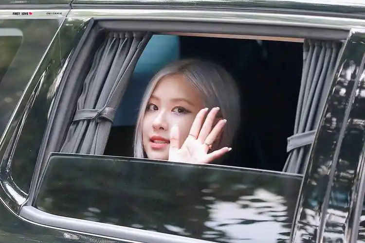 firstlove_rose - 堆糖,美图壁纸兴趣社区