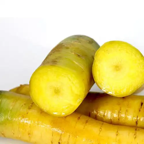 萝卜新疆手抓宝宝包邮5斤蔬菜新鲜胡萝卜黄萝卜萝卜