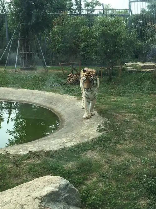 上方山森林动物世界