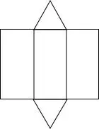 (1)这个几何体是正三棱柱; (2)表面展开图如下