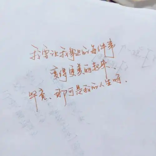 手写摘抄每天感恩一切