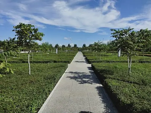 家乡美～德惠迎宾公园掠影