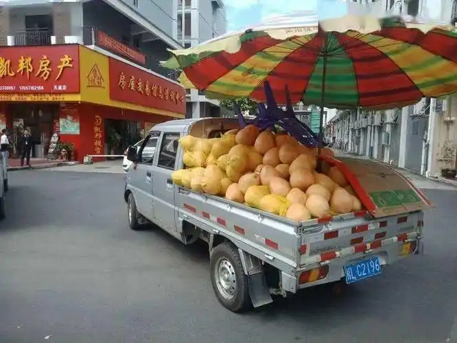 【流动水果车到交警大队摆排排】