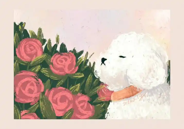 敲可爱滴电脑壁纸1500000806200900080712