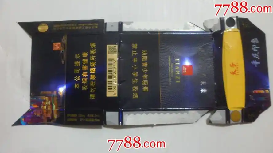 天子【重庆印象】16劝阻版;中支.