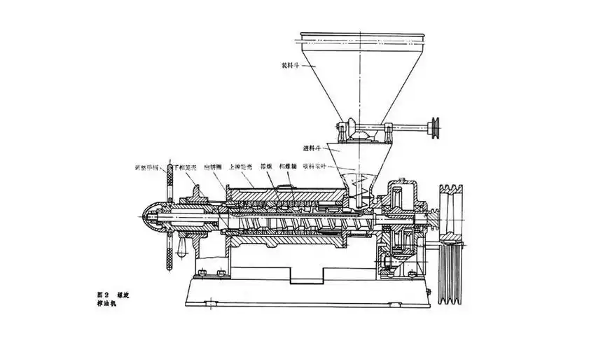 供应食用油加工设备 自动螺旋榨油机 花生压榨机