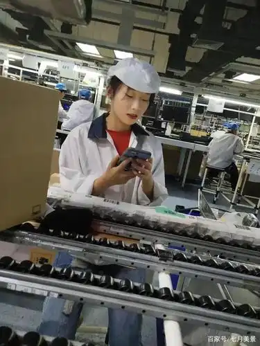 电子厂的小姐姐