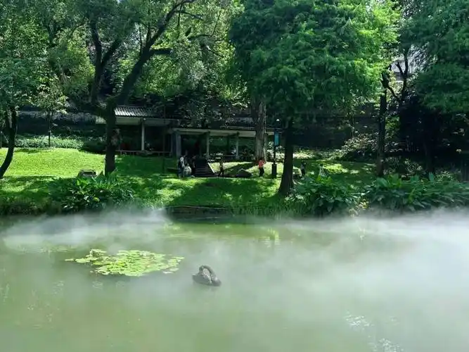 雾漫东秀湖,越秀公园仙气飘飘!