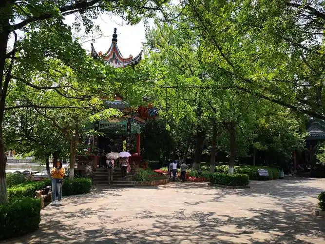 畅游昆明著名公园——翠湖公园