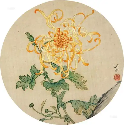 0154 菊 团扇 镜片 设色绢本