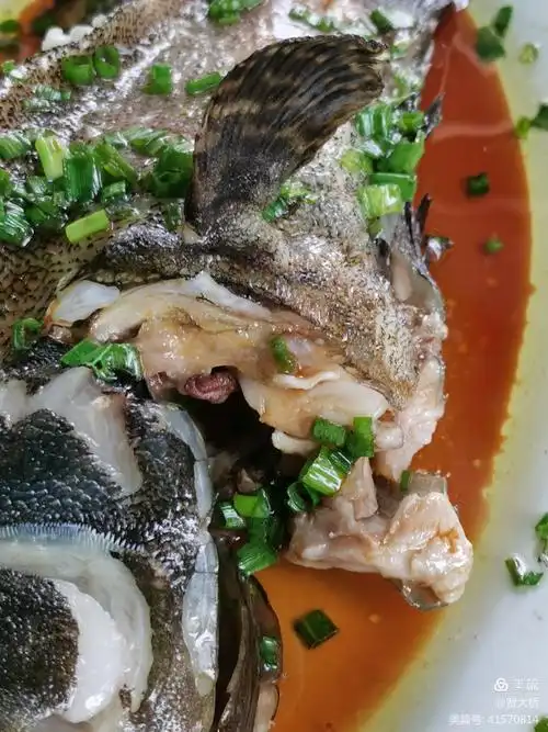 清蒸青斑鱼.