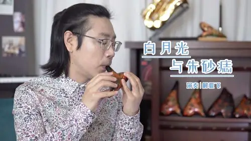 《白月光与朱砂痣》解亚飞陶笛演奏版