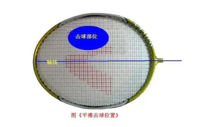 羽毛球击球动作力学原理关乎发力
