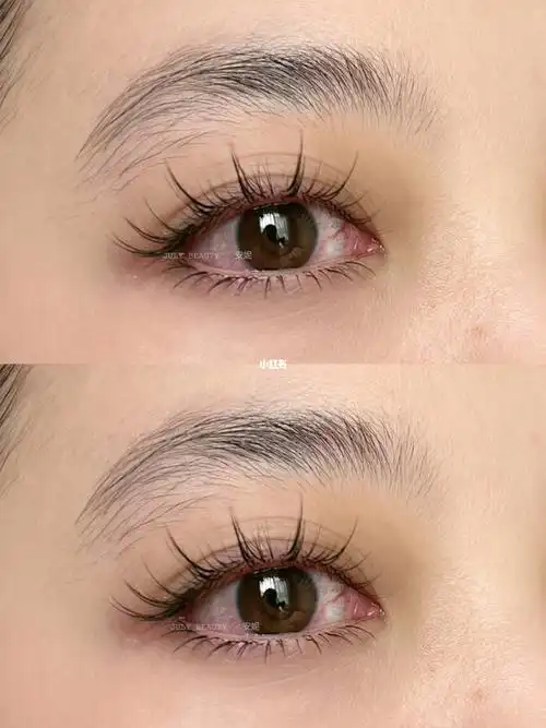 适合日常的小漫画睫毛款式