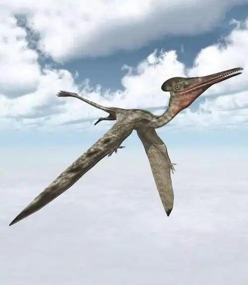 翼龙