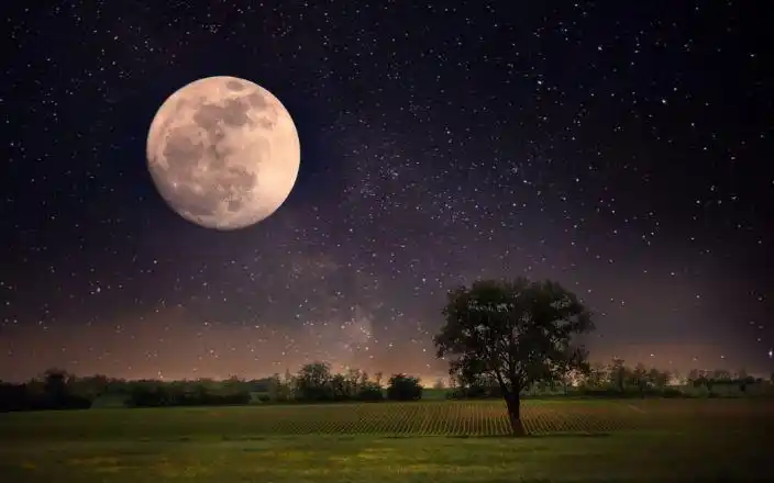 中秋祝福人道中秋明月好今年今夜月更圆