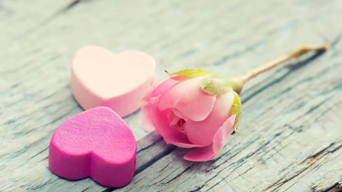 520小清新治愈系静物唯美高清桌面壁纸