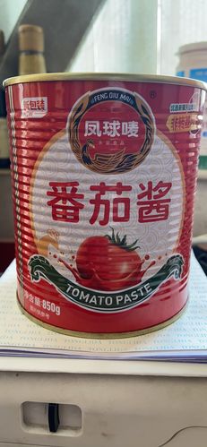 番茄酱新疆罐装凤球唛850克2桶不是调味餐饮罗宋汤番茄酱