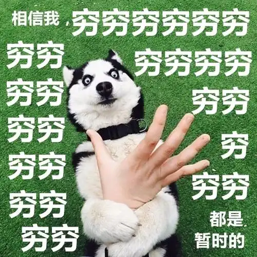 家徒四壁表情包 - 装穷表情包系列 - 表情图