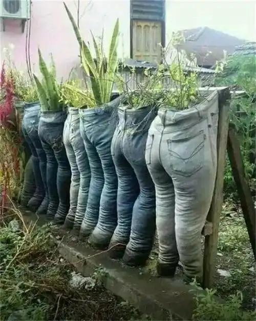 旧鞋子怎样做盆栽(旧鞋子改造花盆)