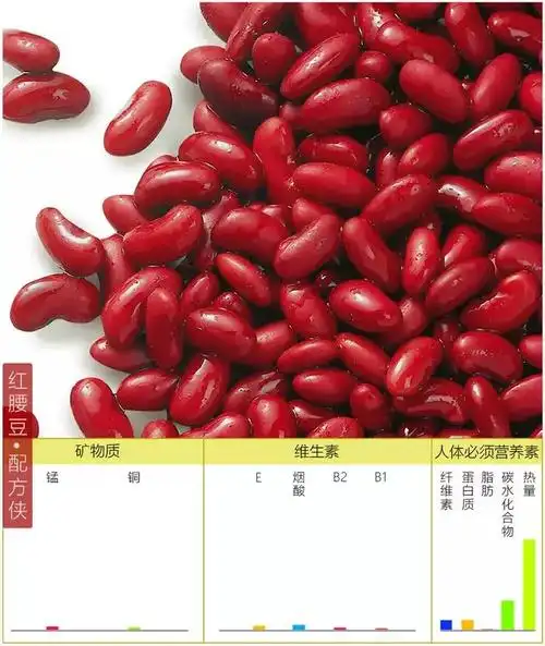 豆子的种类介绍14种