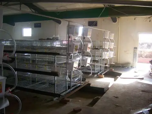 在建的山西笼养鸡棚
