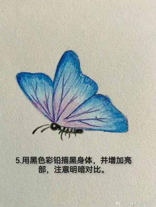 一看就会的彩铅蝴蝶简笔画,喜欢赶紧收藏哦!