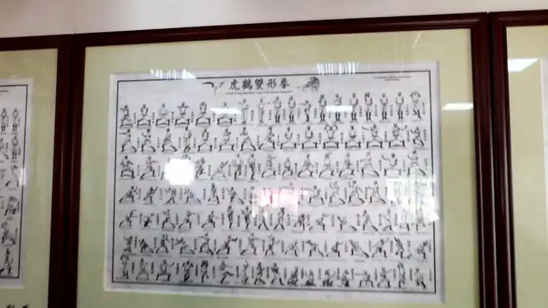 工字伏虎拳,虎鹤双形拳,铁线拳等为主,被称为"洪拳三宝".