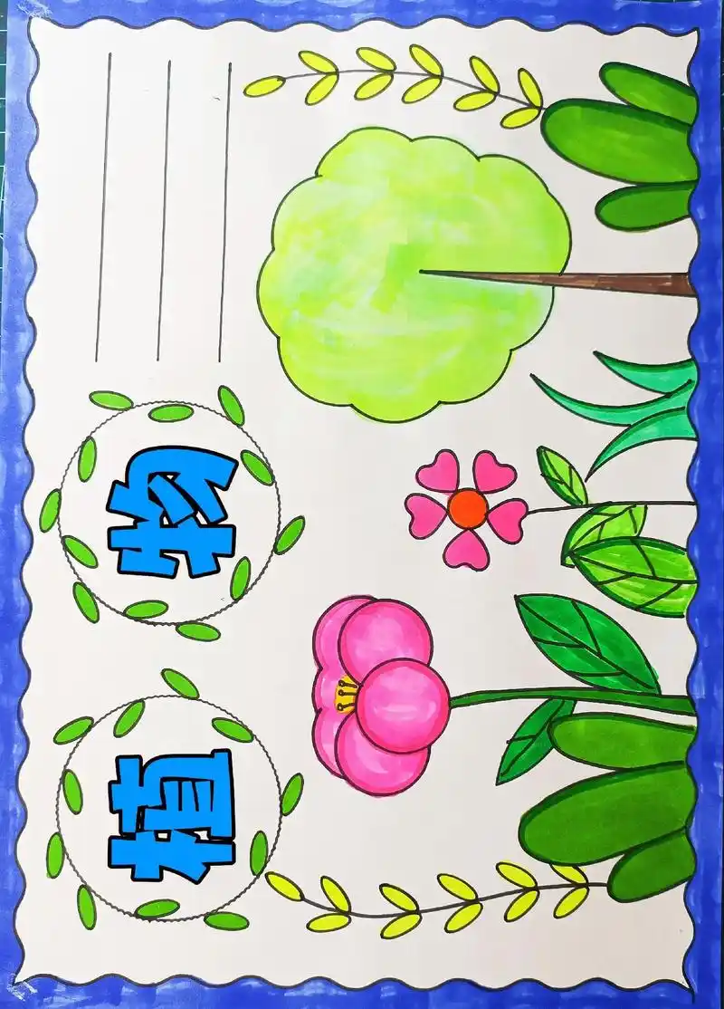 简单又好看的植物手抄报线稿,用尺子画,一分钟学会,绘画过程看 - 抖音