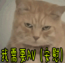 求安慰我需要安慰猫gif动图_动态图_表情包下载_soogif