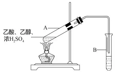 某学习小组设计以下两套装置用乙醇,乙酸和浓硫酸分别制备乙酸乙酯