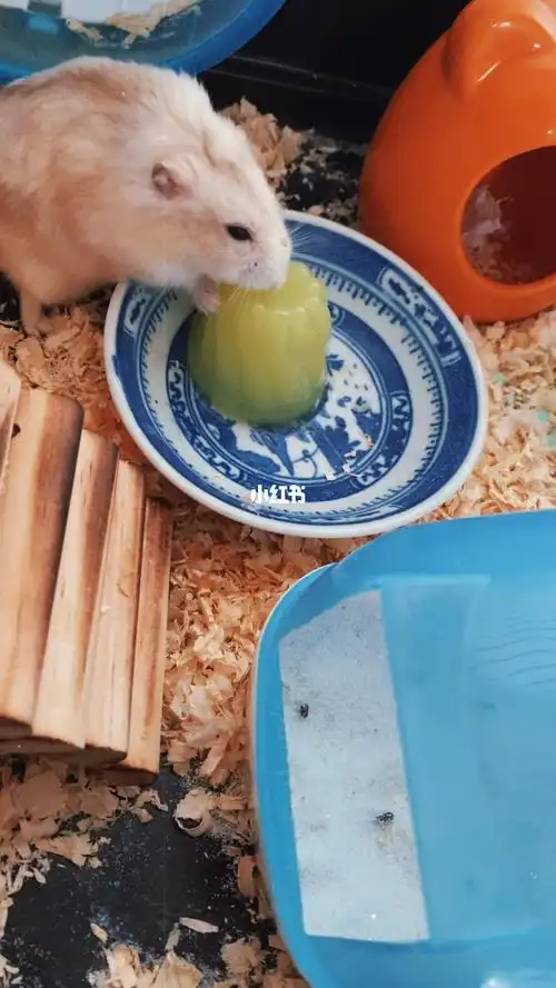 她好喜欢吃这个果冻