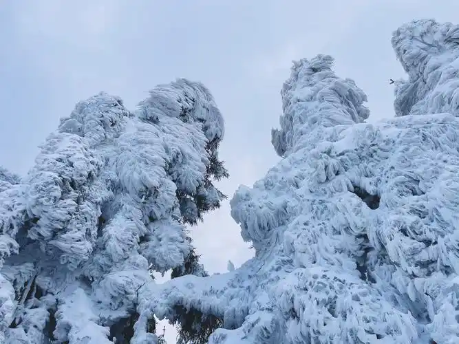 春天芷江明山送你一幅壮美北国画卷