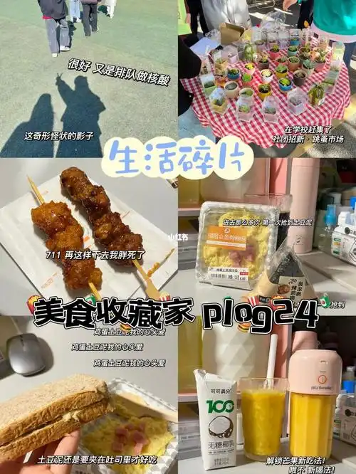 742022/11/4周五 plog第二十四篇93补图plog的最后一期!