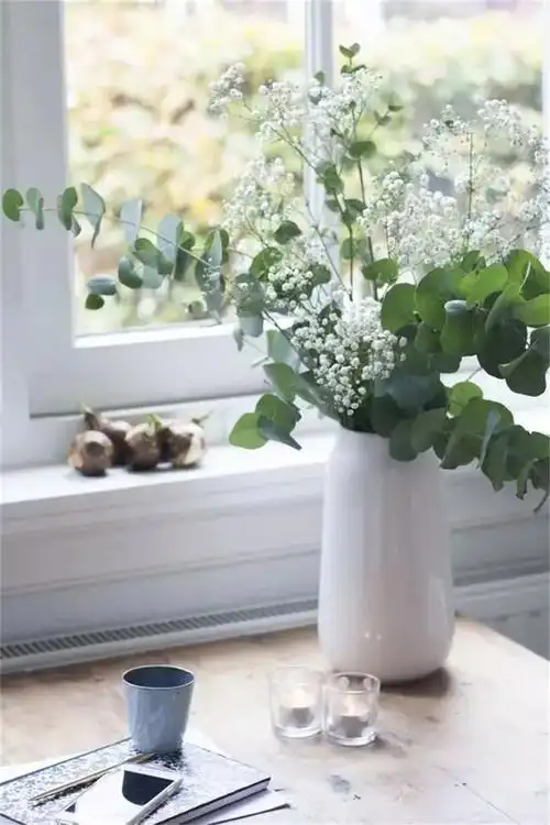 一束尤加利叶,怎么插都好看