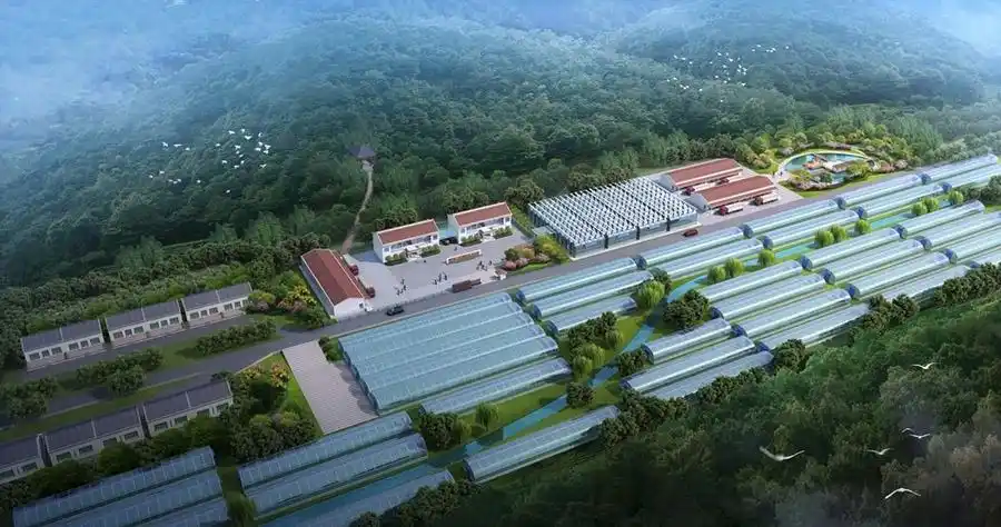 农业生态大棚设计案例效果图-室内设计师平台 -室内设计论坛-扮家家